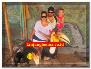 Pulau penyu Bali Tanjung Benoa