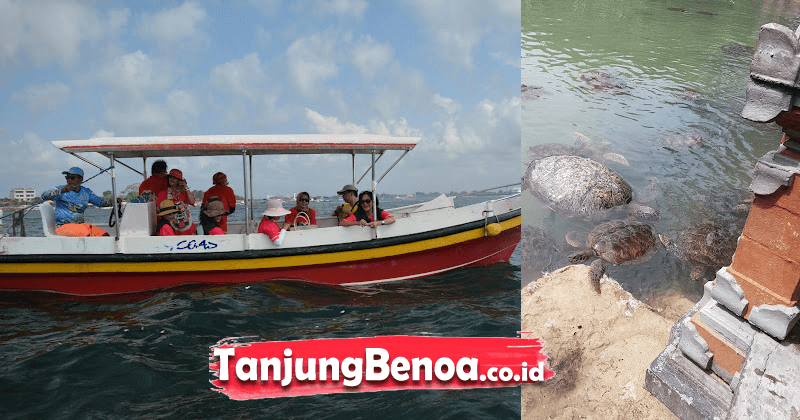 Glass Bottom Boat + Pulau Penyu