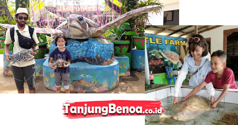 Tempat Penangkaran Penyu Tanjung Benoa