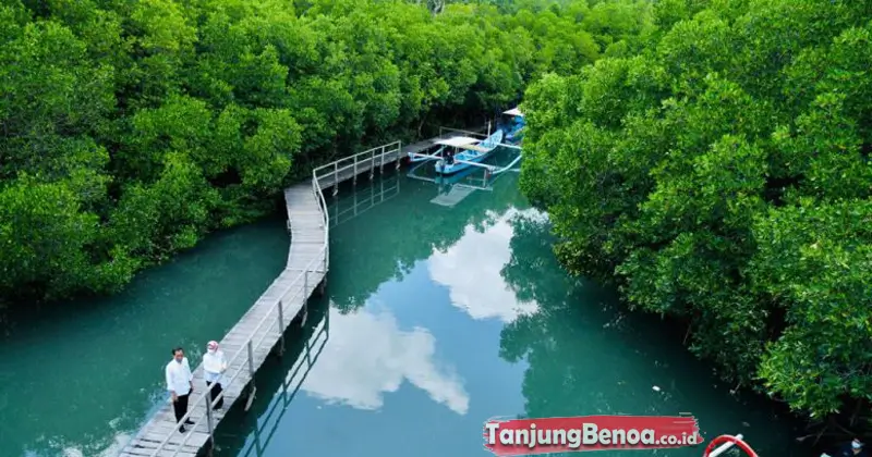 tahura-ngurah-rai Tahura Ngurah Rai