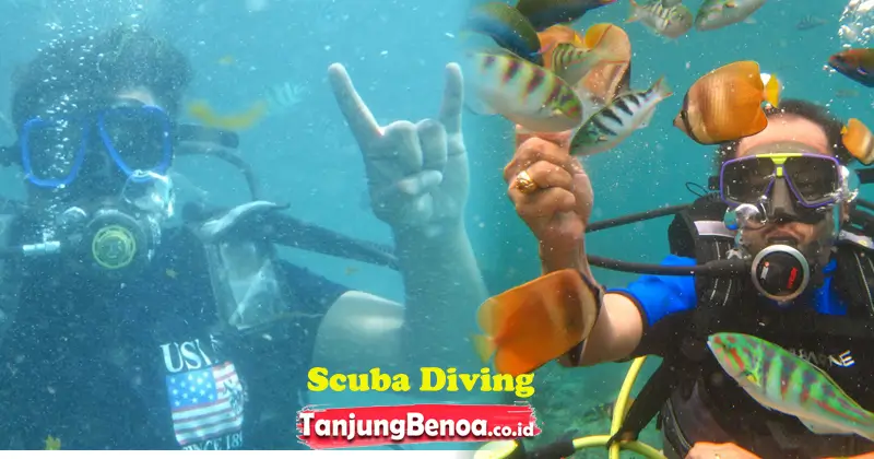 Scuba Diving