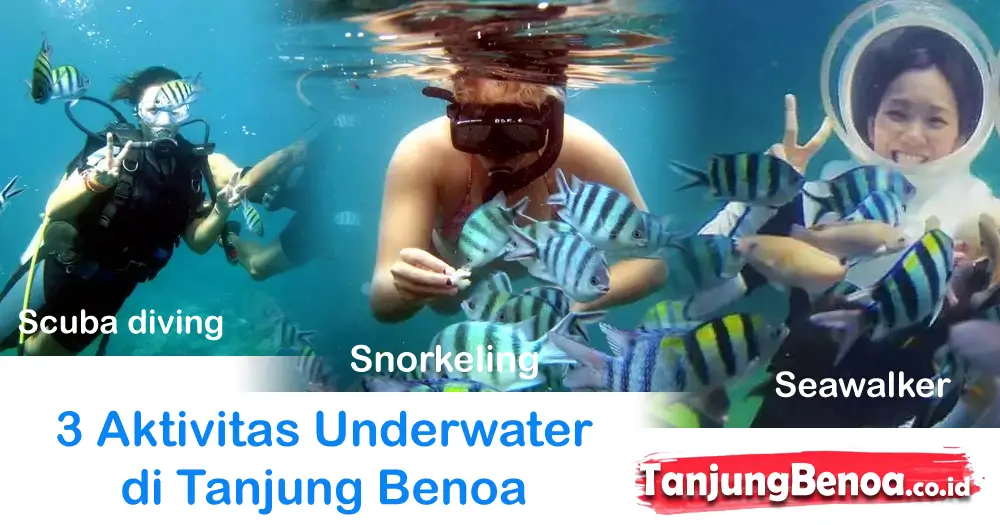 Aktivitas Underwater di Tanjung Benoa